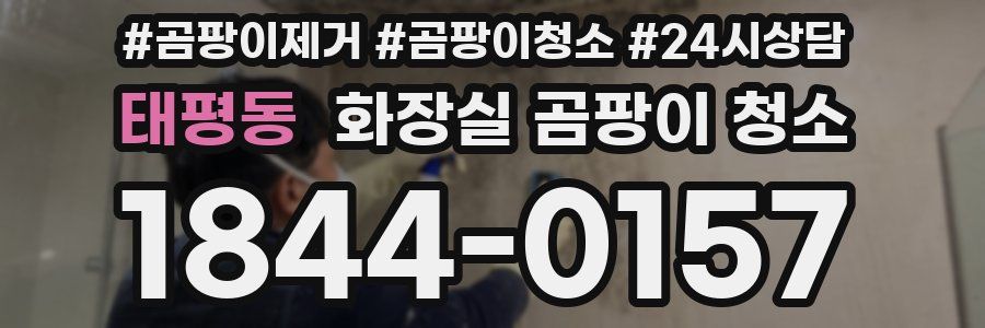 태평동 화장실 곰팡이 청소