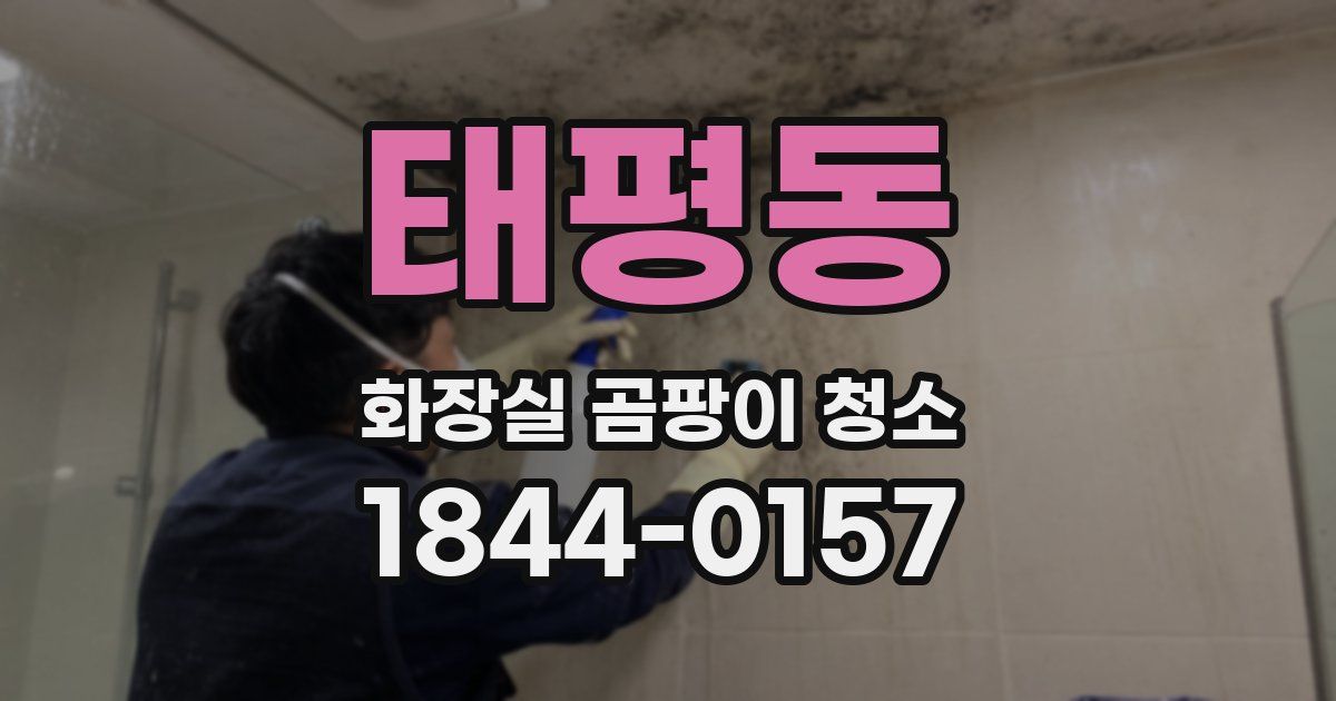 태평동 화장실 곰팡이 청소