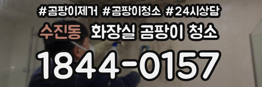 수진동 화장실 곰팡이 청소