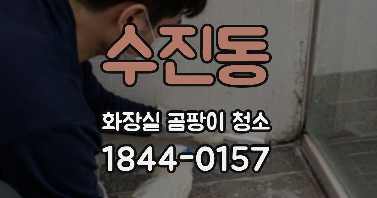 수진동 화장실 곰팡이 청소