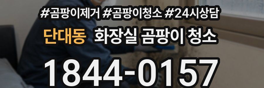 단대동 화장실 곰팡이 청소
