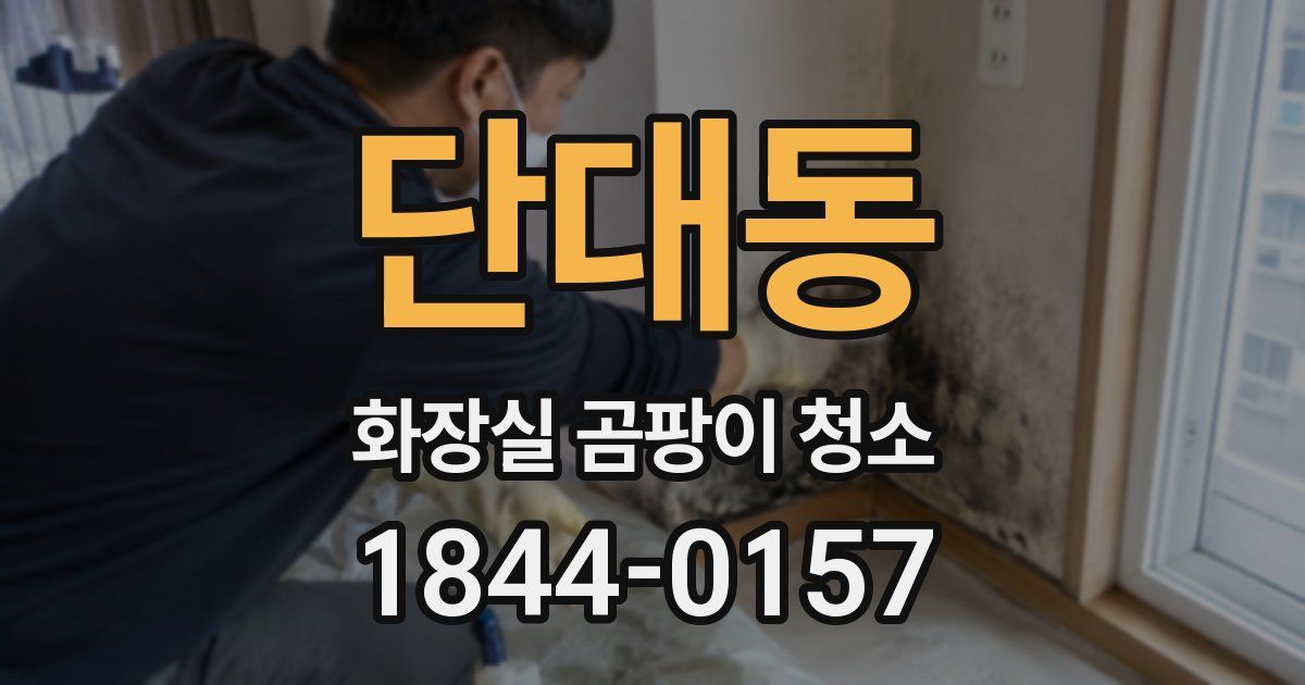 단대동 화장실 곰팡이 청소