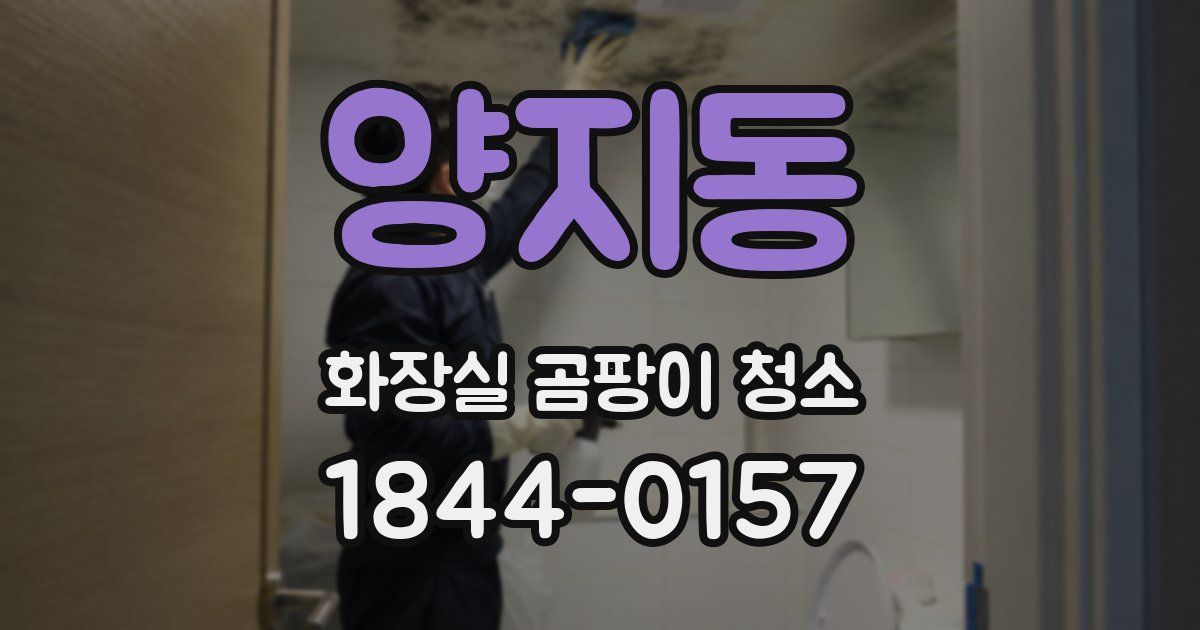 양지동 화장실 곰팡이 청소