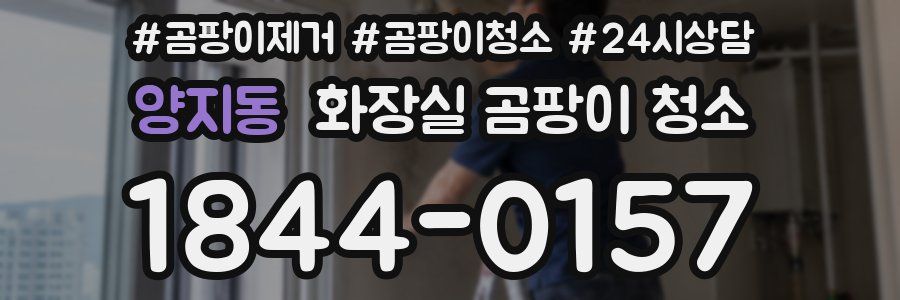 양지동 화장실 곰팡이 청소