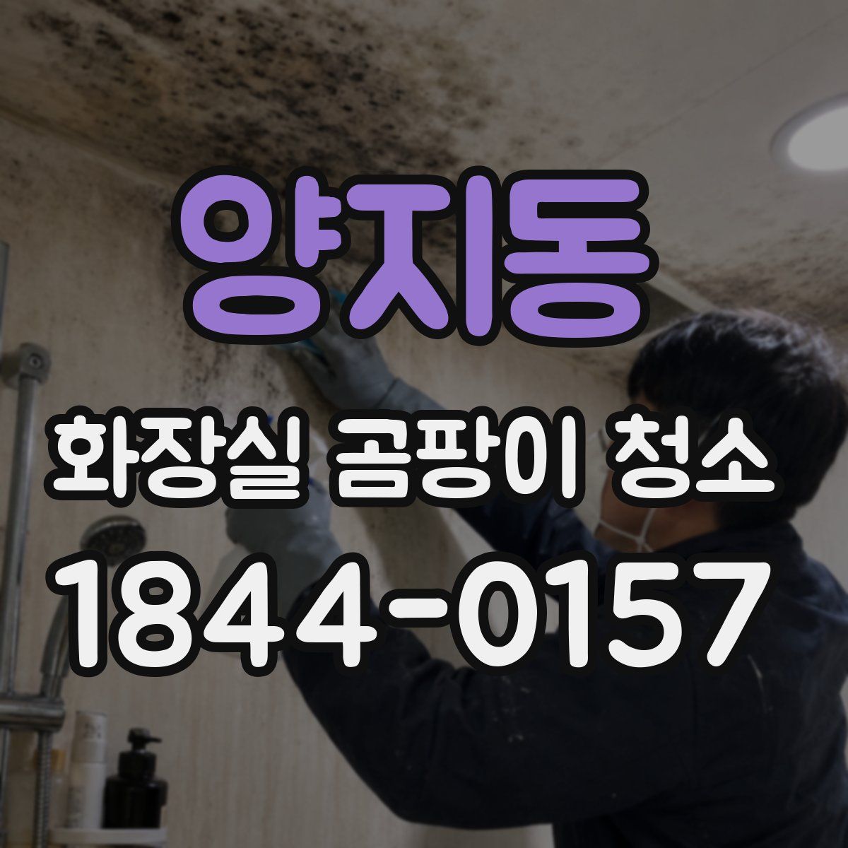 양지동 화장실 곰팡이 청소