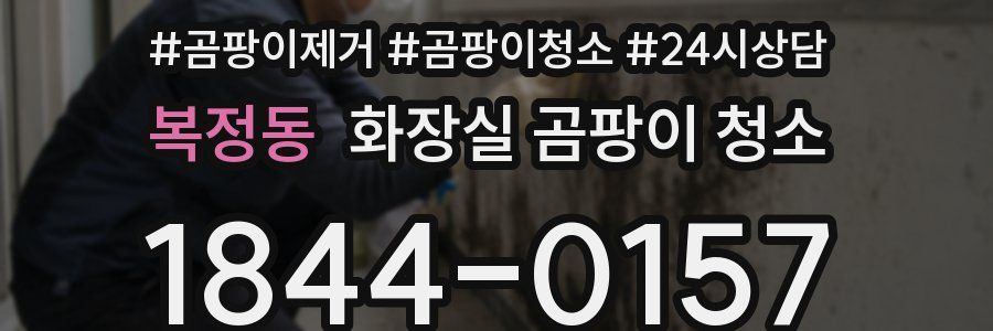 복정동 화장실 곰팡이 청소