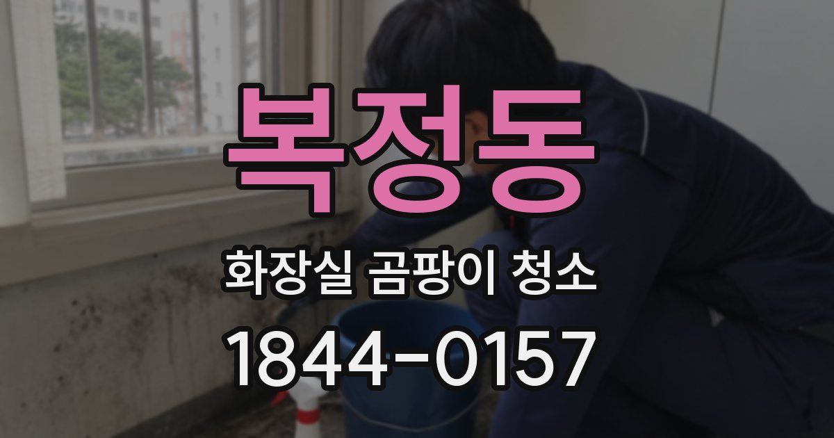 복정동 화장실 곰팡이 청소