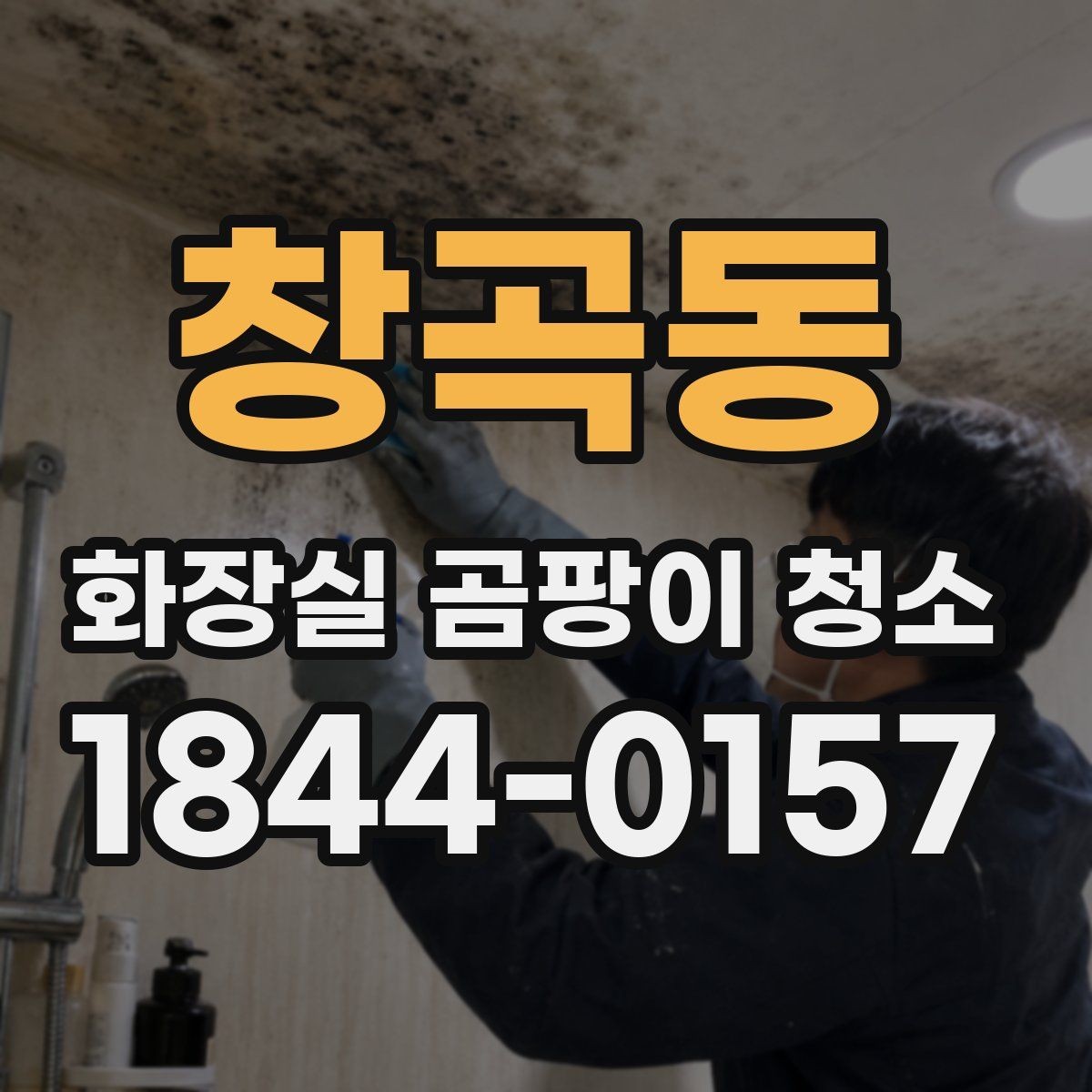 창곡동 화장실 곰팡이 청소 곰팡이 심한 구역만 나눠서 처리하는 순서