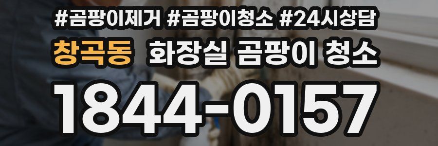 창곡동 화장실 곰팡이 청소