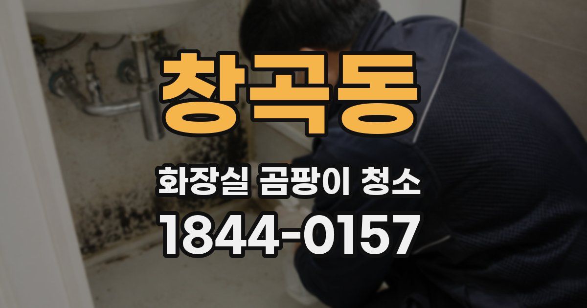 창곡동 화장실 곰팡이 청소