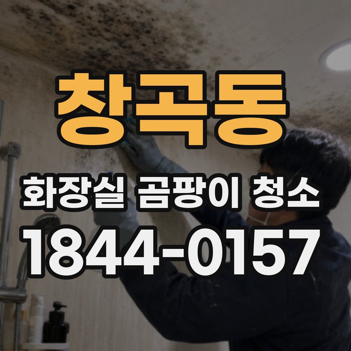창곡동 화장실 곰팡이 청소