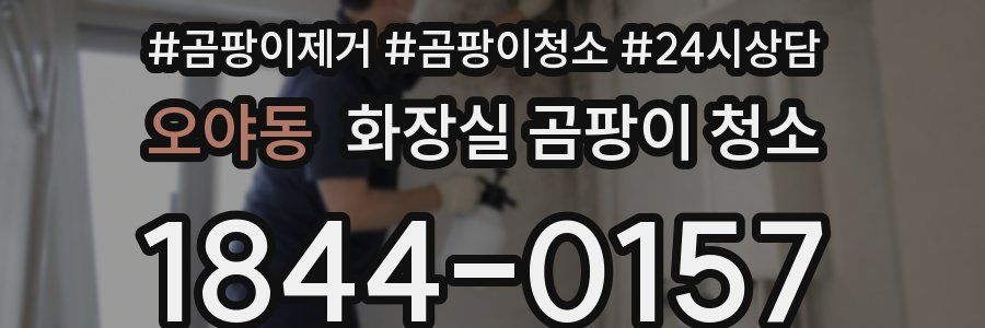 오야동 화장실 곰팡이 청소