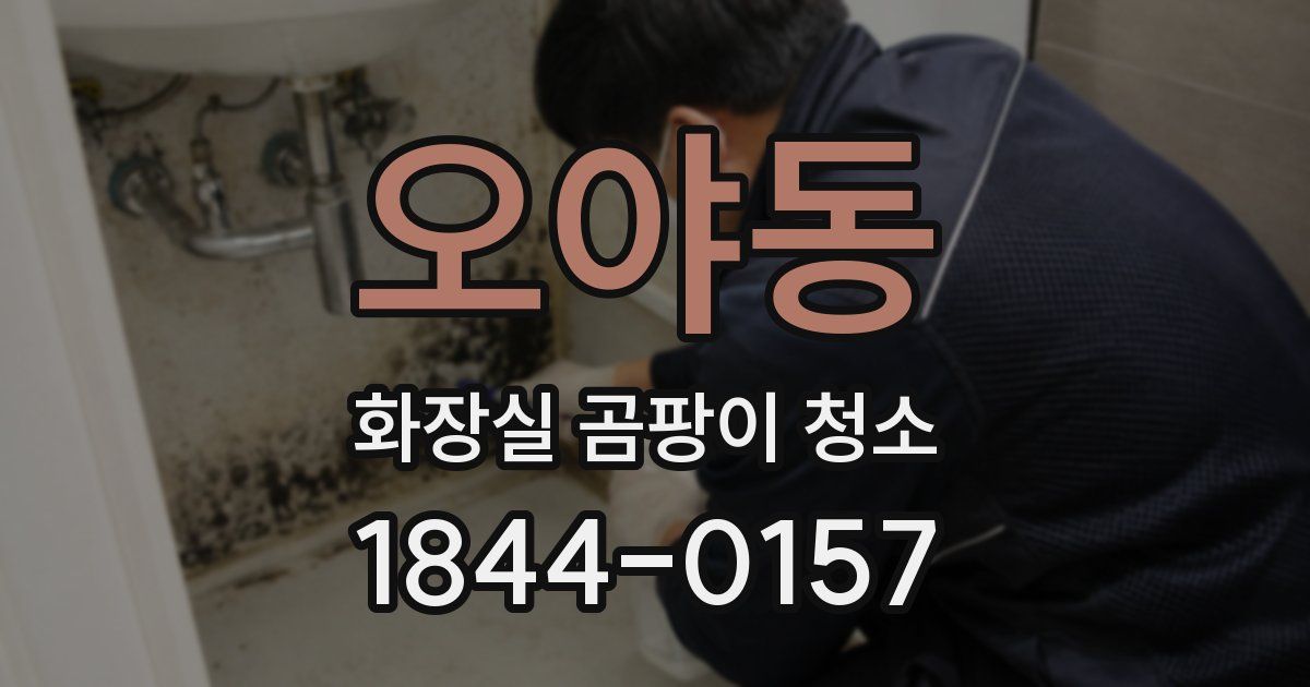 오야동 화장실 곰팡이 청소