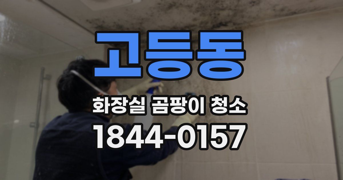고등동 화장실 곰팡이 청소