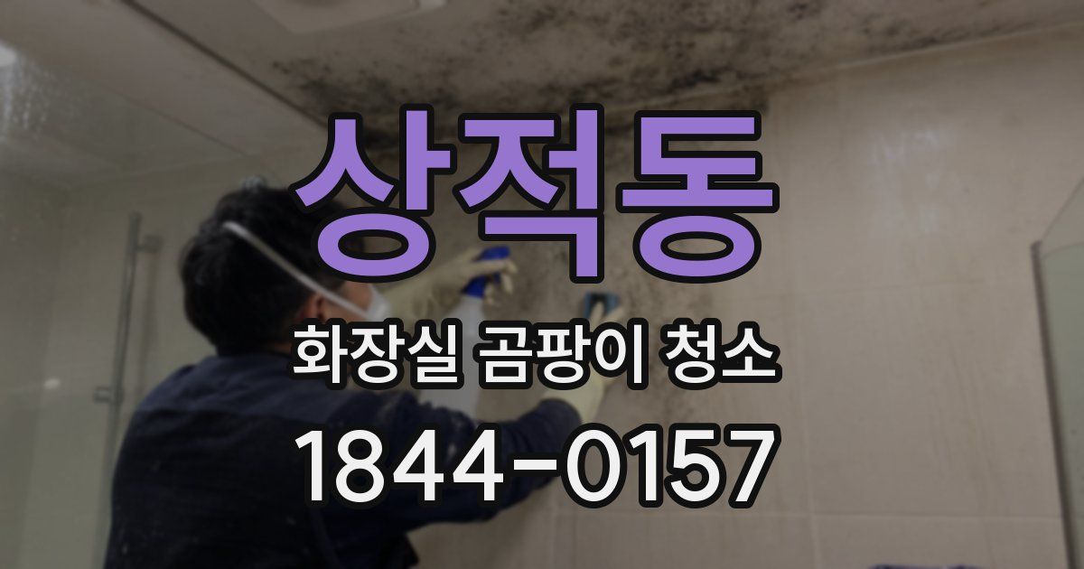 상적동 화장실 곰팡이 청소