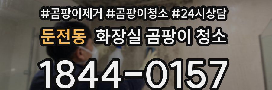 둔전동 화장실 곰팡이 청소
