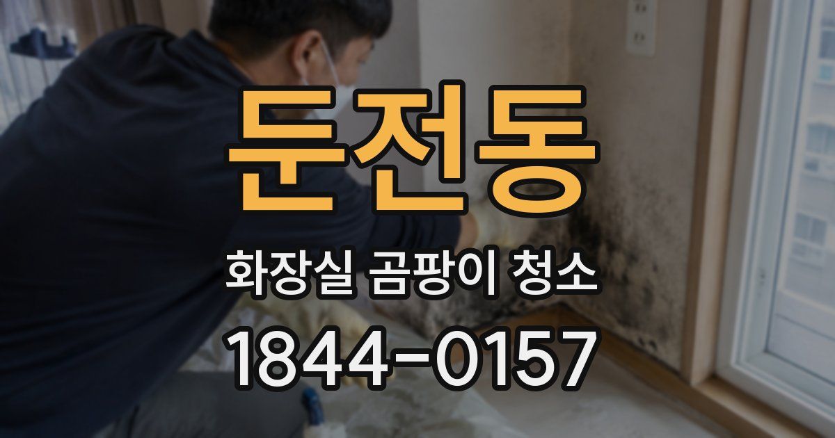 둔전동 화장실 곰팡이 청소