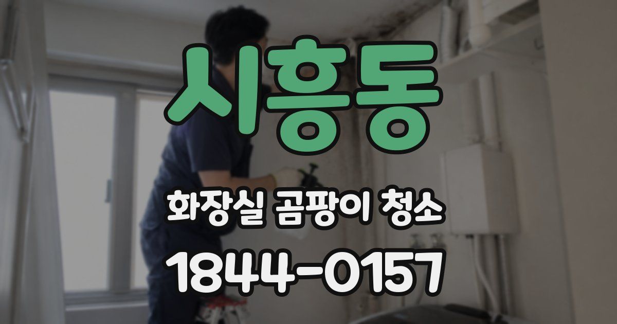 시흥동 화장실 곰팡이 청소