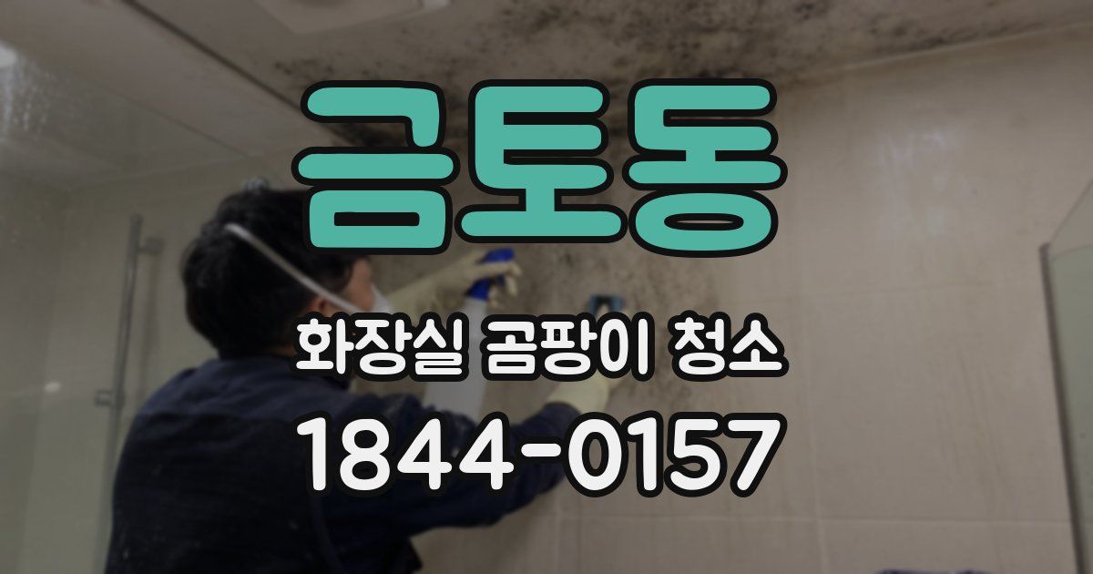 금토동 화장실 곰팡이 청소