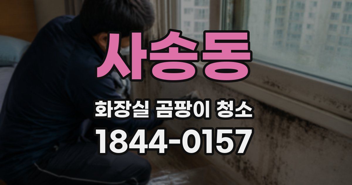사송동 화장실 곰팡이 청소