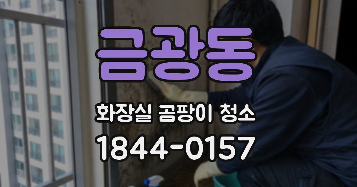 금광동 화장실 곰팡이 청소