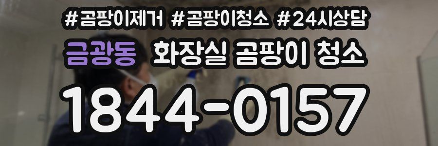 금광동 화장실 곰팡이 청소