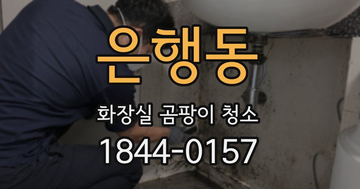은행동 화장실 곰팡이 청소