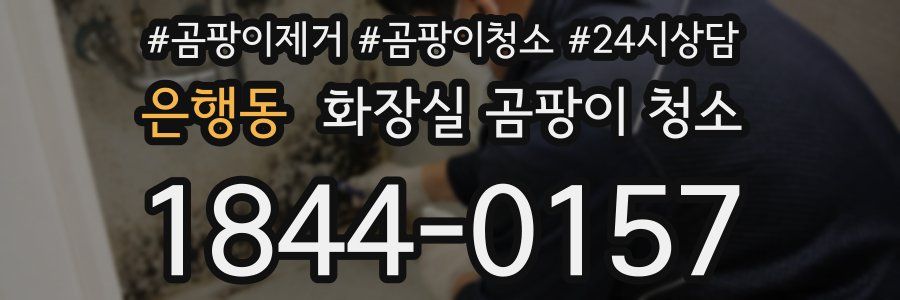 은행동 화장실 곰팡이 청소