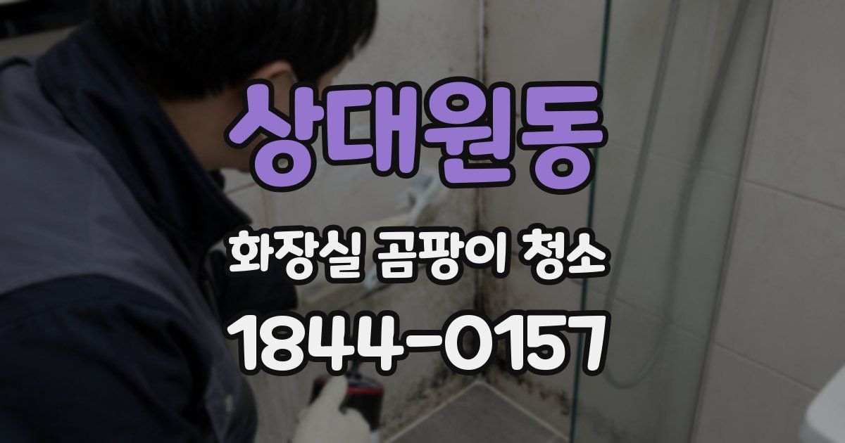상대원동 화장실 곰팡이 청소