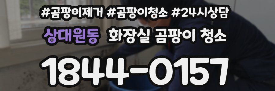 상대원동 화장실 곰팡이 청소