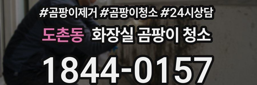 도촌동 화장실 곰팡이 청소