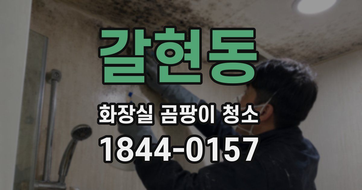 갈현동 화장실 곰팡이 청소