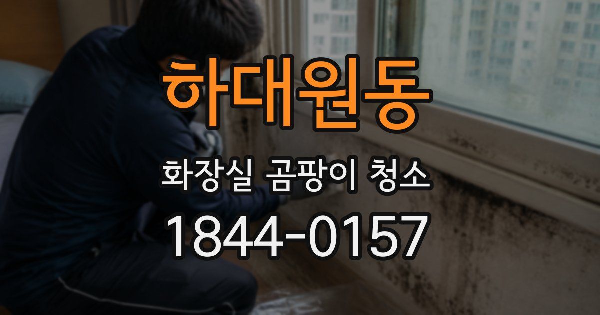 하대원동 화장실 곰팡이 청소