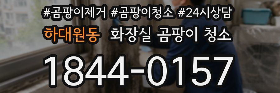 하대원동 화장실 곰팡이 청소
