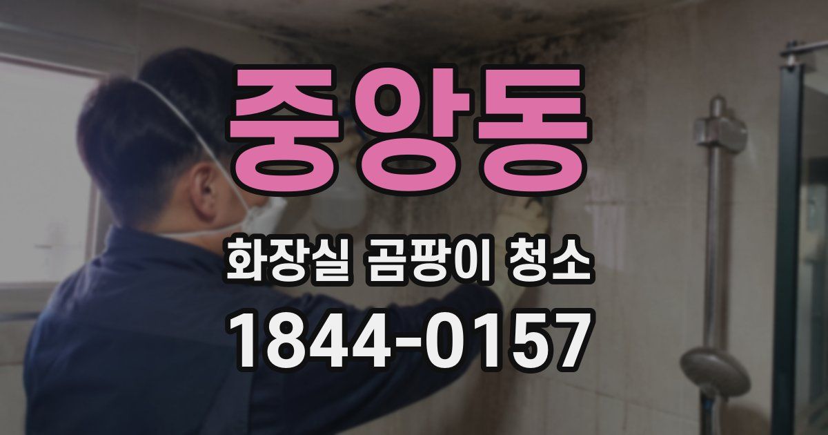 중앙동 화장실 곰팡이 청소