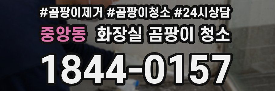 중앙동 화장실 곰팡이 청소