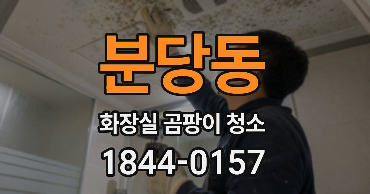 분당동 화장실 곰팡이 청소