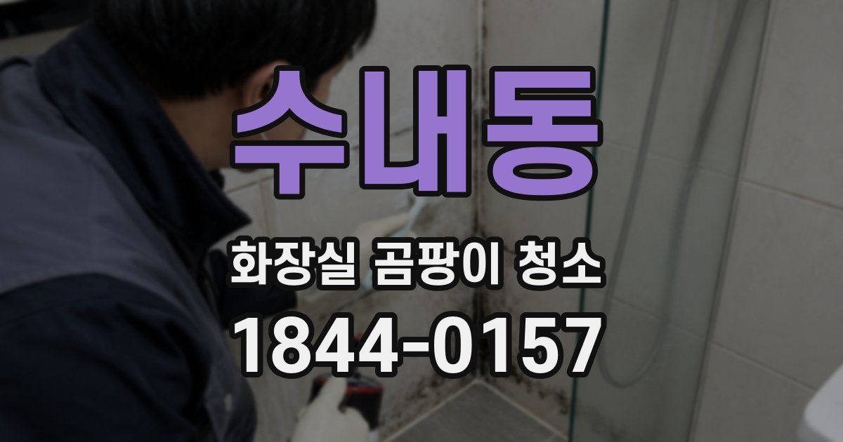 수내동 화장실 곰팡이 청소