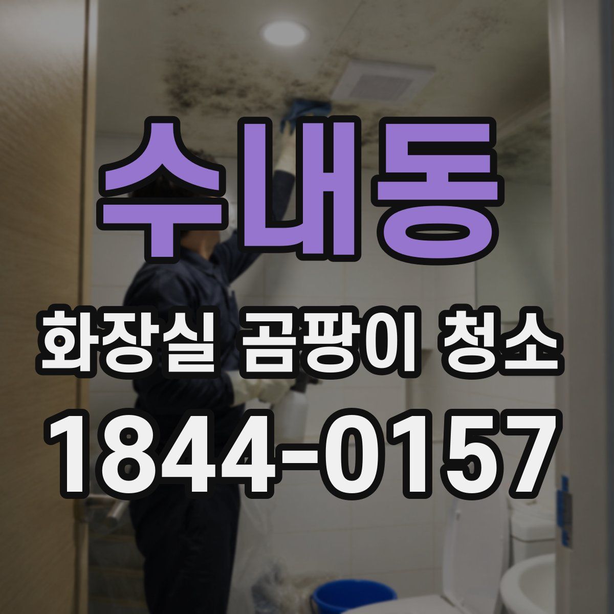 수내동 화장실 곰팡이 청소