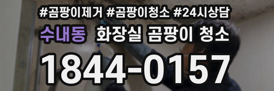 수내동 화장실 곰팡이 청소