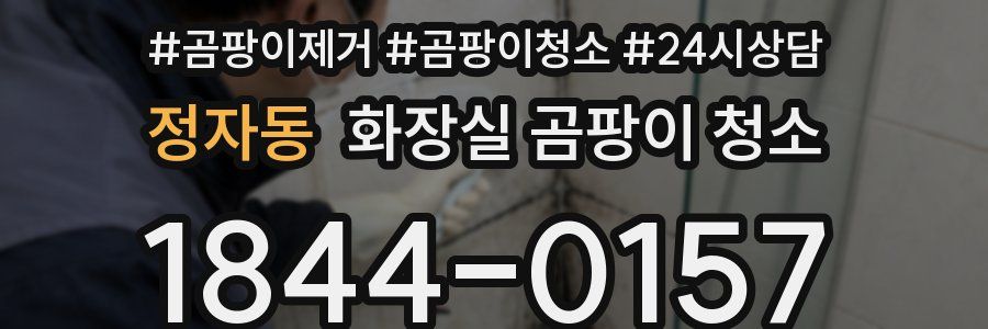 정자동 화장실 곰팡이 청소