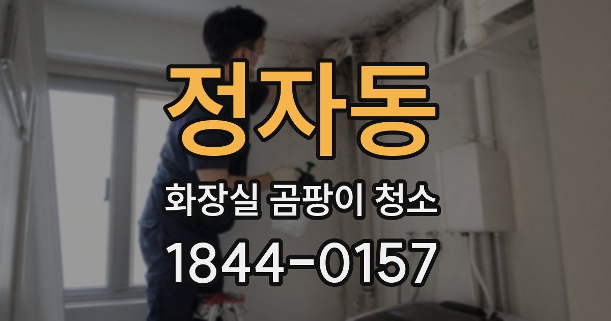 정자동 화장실 곰팡이 청소