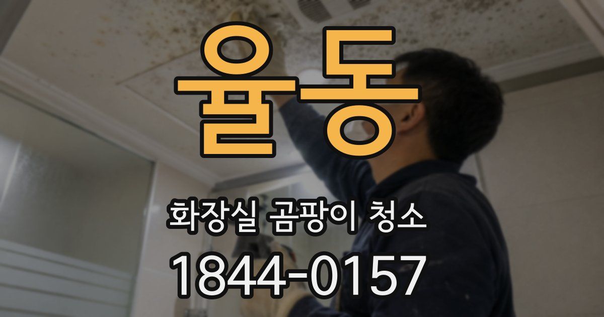 율동 화장실 곰팡이 청소