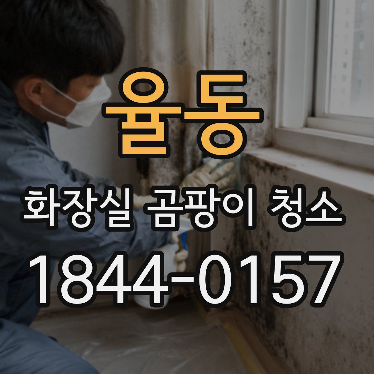 율동 화장실 곰팡이 청소