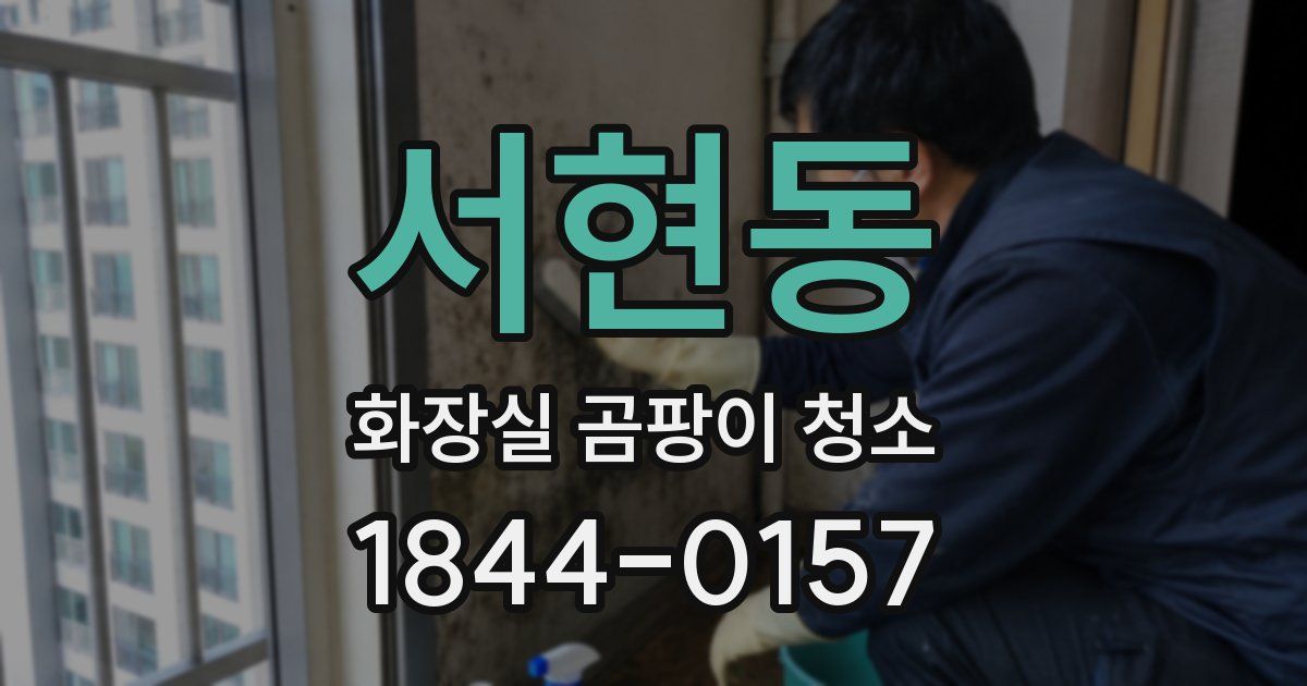 서현동 화장실 곰팡이 청소