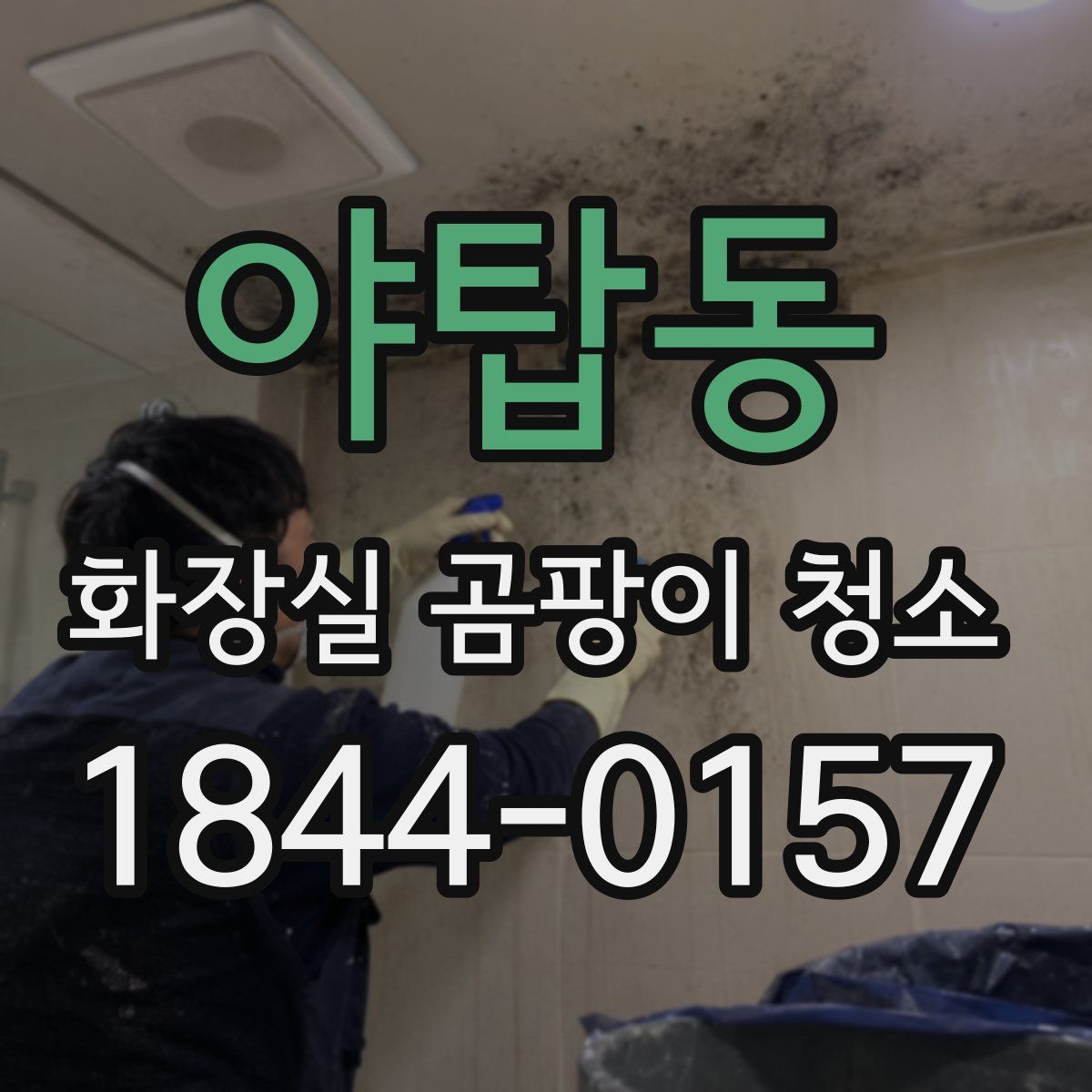 야탑동 화장실 곰팡이 청소