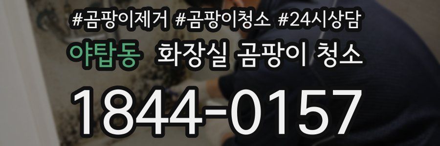 야탑동 화장실 곰팡이 청소