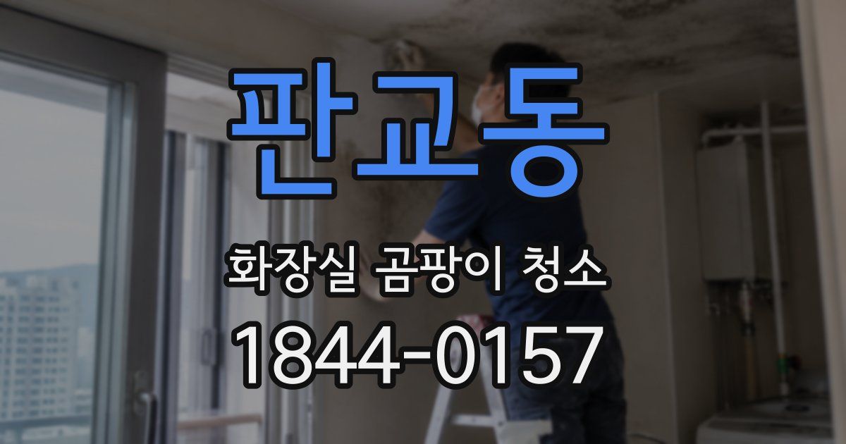 판교동 화장실 곰팡이 청소