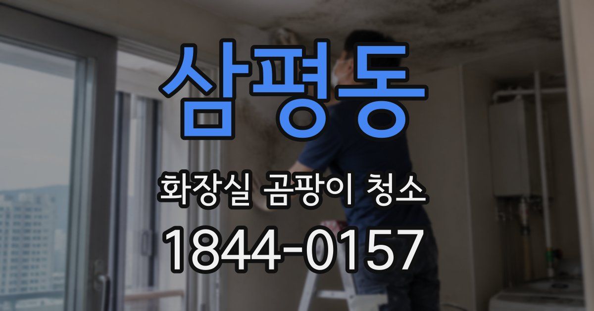 삼평동 화장실 곰팡이 청소