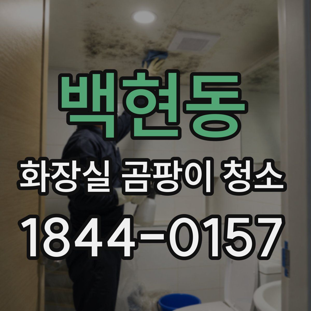 백현동 화장실 곰팡이 청소